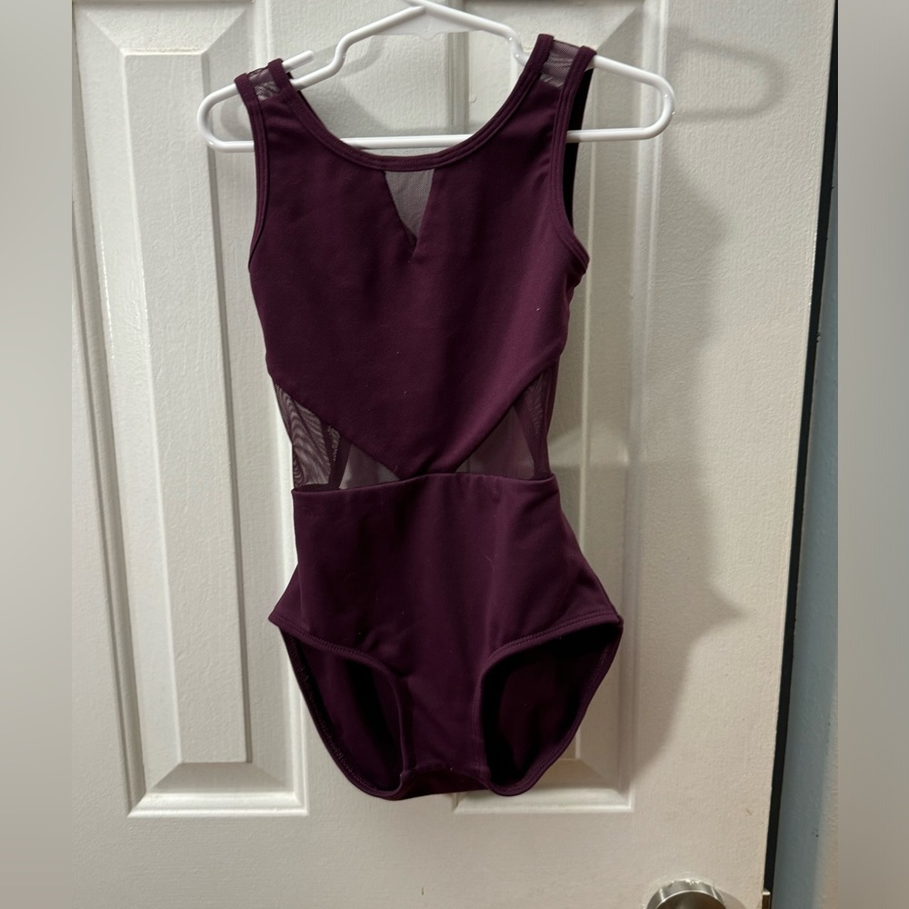 Purple pixies leotard